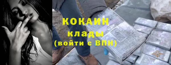 шишки Новокубанск
