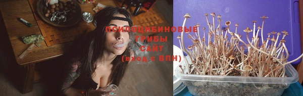 mdma Новодвинск