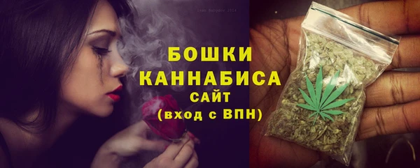 шишки Новокубанск