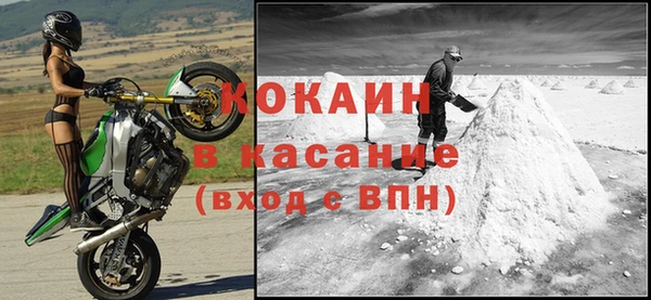 шишки Новокубанск