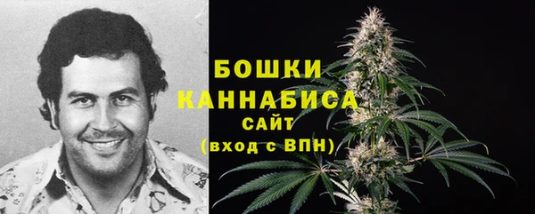 шишки Новокубанск